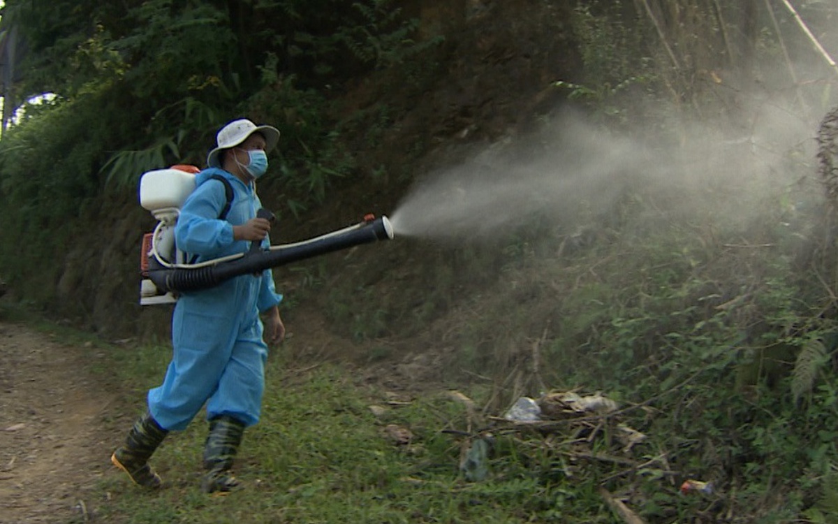 Sốt xuất huyết Dengue: Không còn theo mùa, nguy cơ bùng phát khó lường