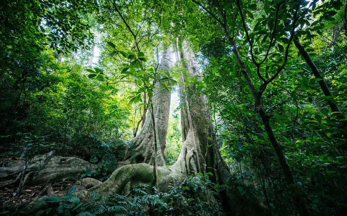 Cát Bà - ‘gu du lịch’ mới mà quen