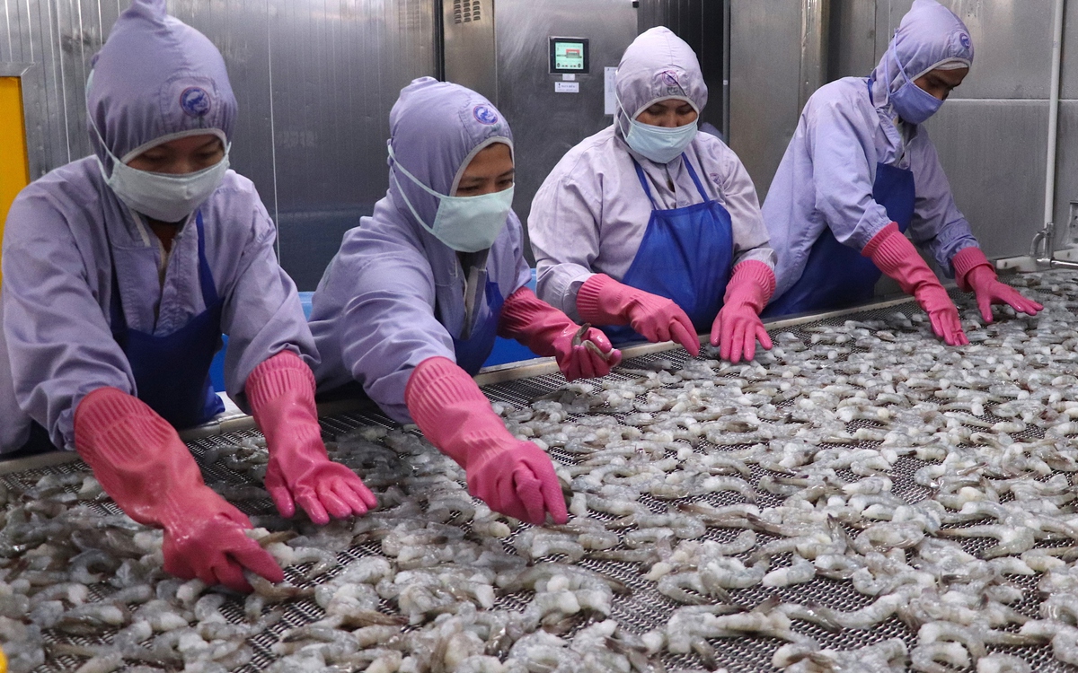 Gần 60% lao động Đồng bằng sông Cửu Long chỉ học hết tiểu học