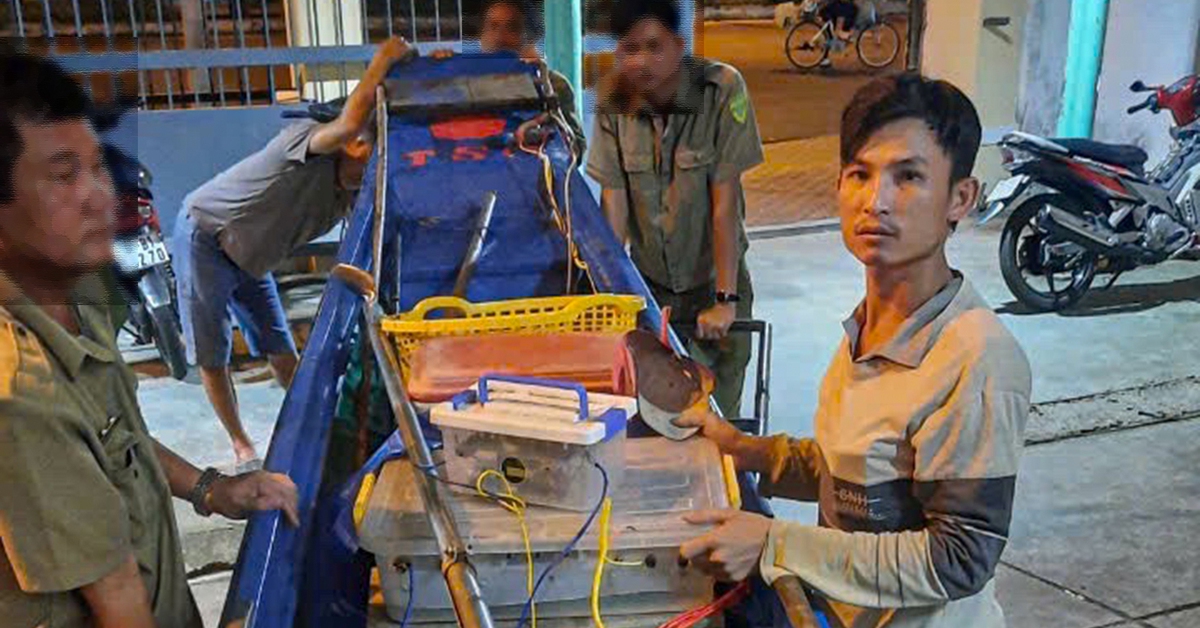 Khen thưởng 3 triệu cho người tố giác xuyệt điện tận diệt thủy sản ở Cà Mau