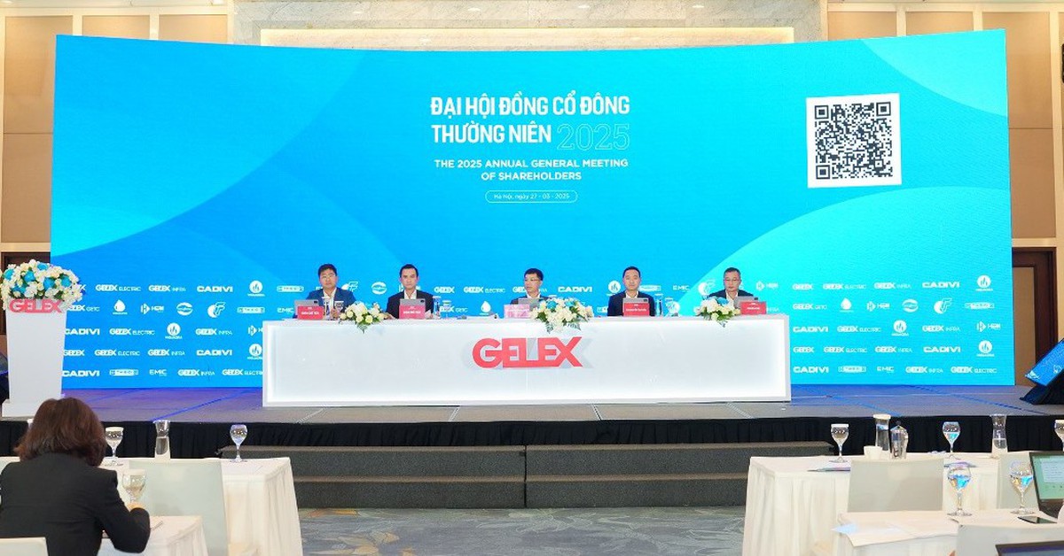 GELEX thông qua mục tiêu doanh thu 37.600 tỉ đồng, có thành viên HĐQT mới