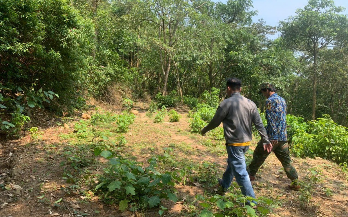 Ban giải phóng mặt bằng quận Liên Chiểu giải đáp chuyện đền bù tại siêu dự án nghỉ dưỡng