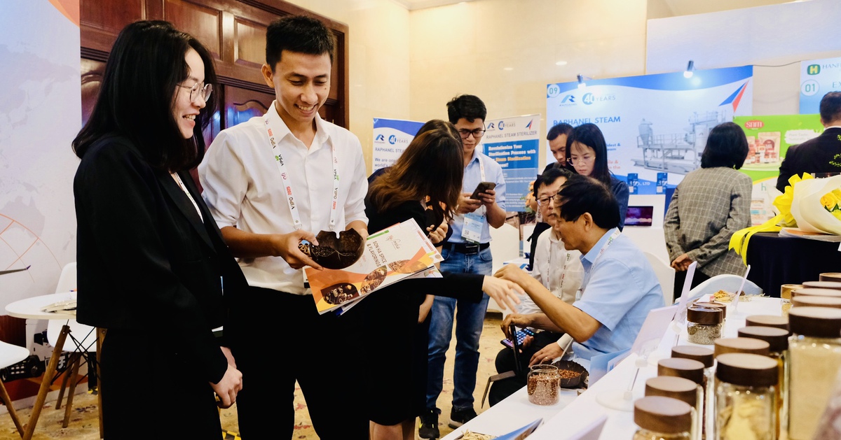 Doanh nghiệp Mỹ, Trung, Ấn... theo dõi sát sao thị trường hồ tiêu Việt Nam