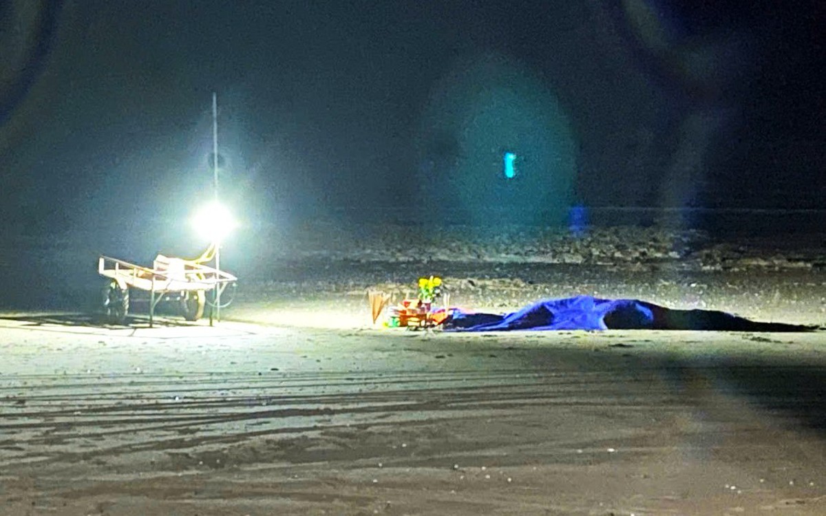 Ngư dân mất tích vụ chìm tàu ở Nghệ An, thi thể được tìm thấy ở bờ biển Hà Tĩnh