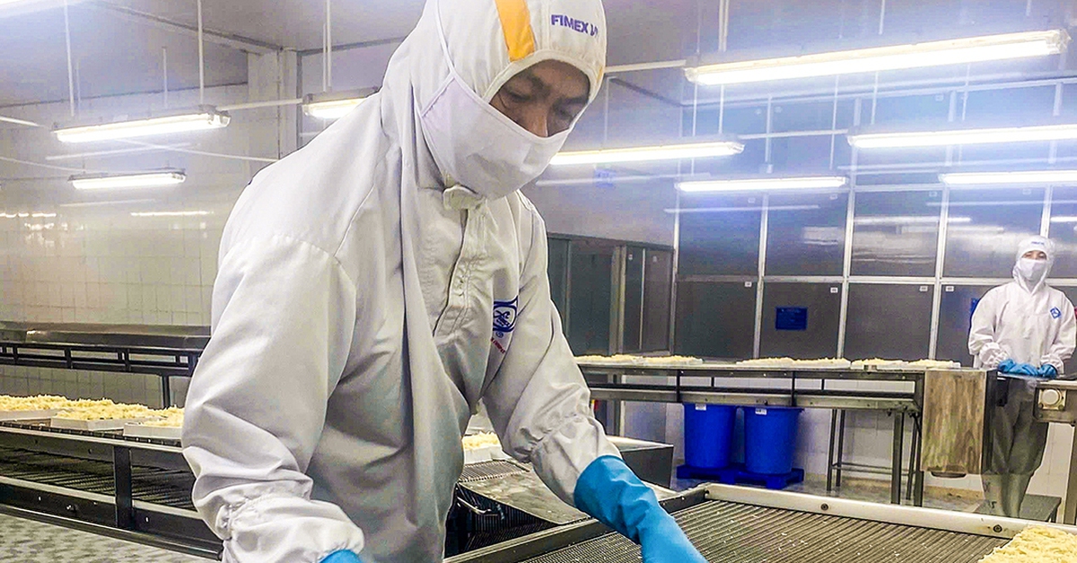 Sóc Trăng lần đầu xây nhà máy chế biến cá rô phi xuất khẩu