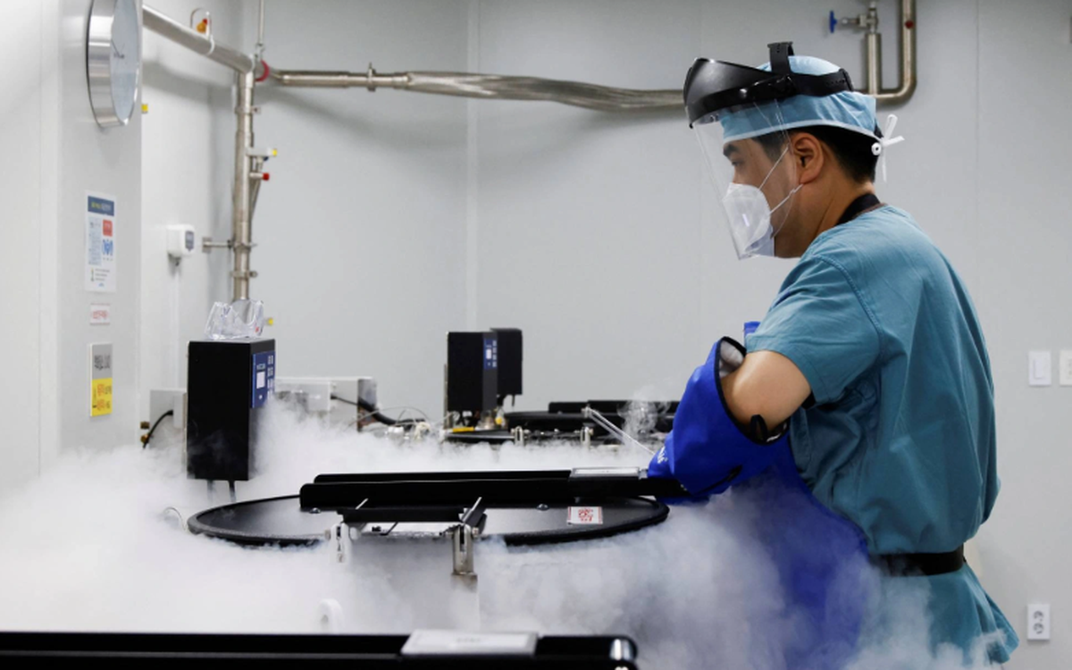 Nhật Bản tỉ lệ sinh giảm thấp, Chính phủ chi tiền hỗ trợ phụ nữ trữ đông trứng