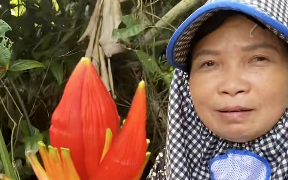 Du lịch sức khỏe cùng 'thầy lang' triệu view