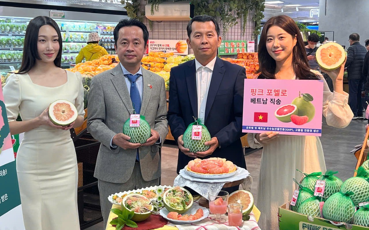 Trái bưởi Việt Nam được bán trong siêu thị ở Hàn Quốc, giá lên tới 2,4 USD/kg
