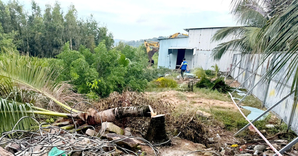 Phú Quốc cưỡng chế thu hồi hơn 30ha đất bị dân bao chiếm