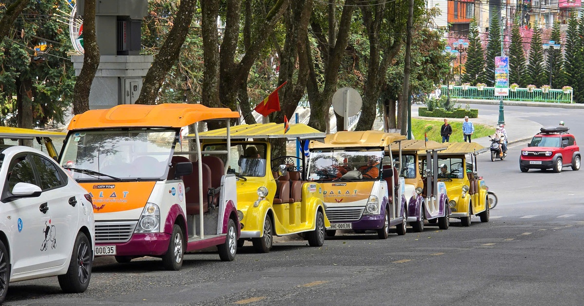 Đà Lạt chưa cho phép xe điện du lịch hoạt động trở lại