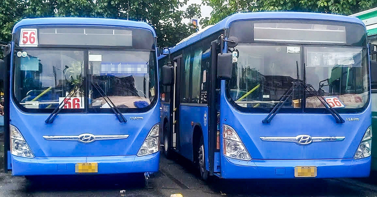 Đình chỉ tiếp viên xe buýt 56 ở TP.HCM tự ý tịch thu thẻ sinh viên