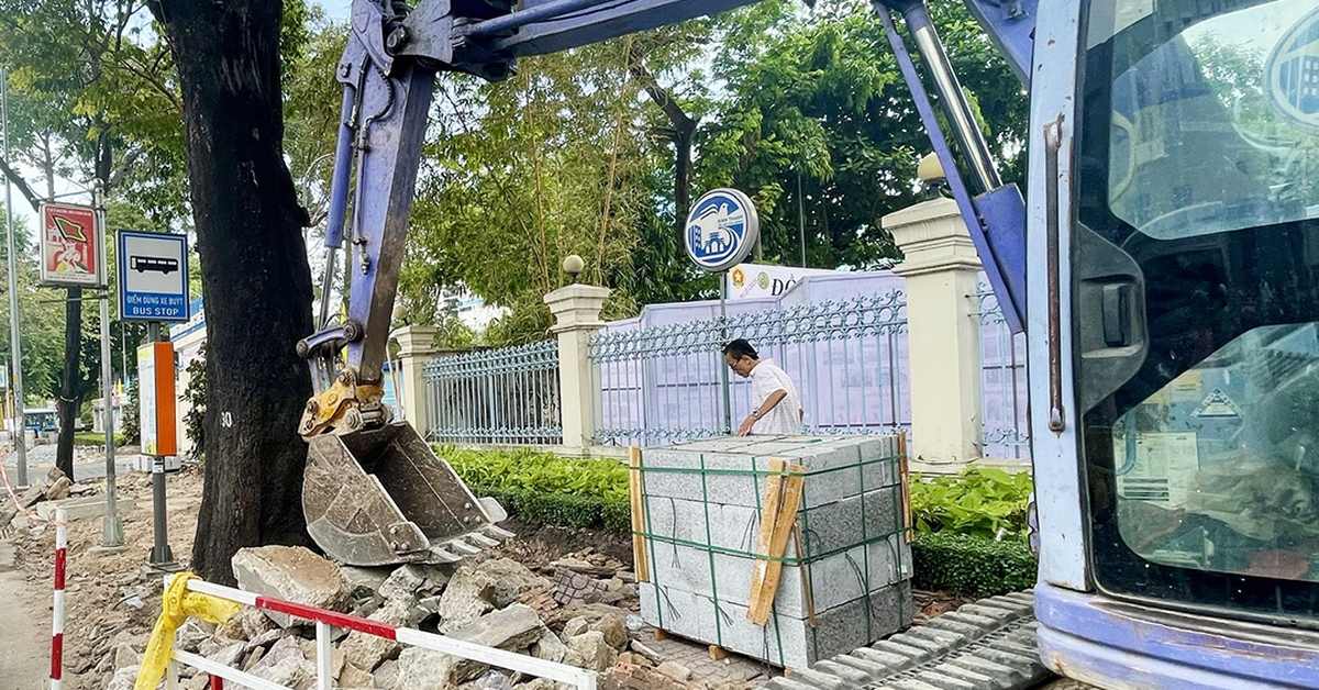 Tự ý chặt cây xanh đô thị, cá nhân và tổ chức bị phạt ra sao?