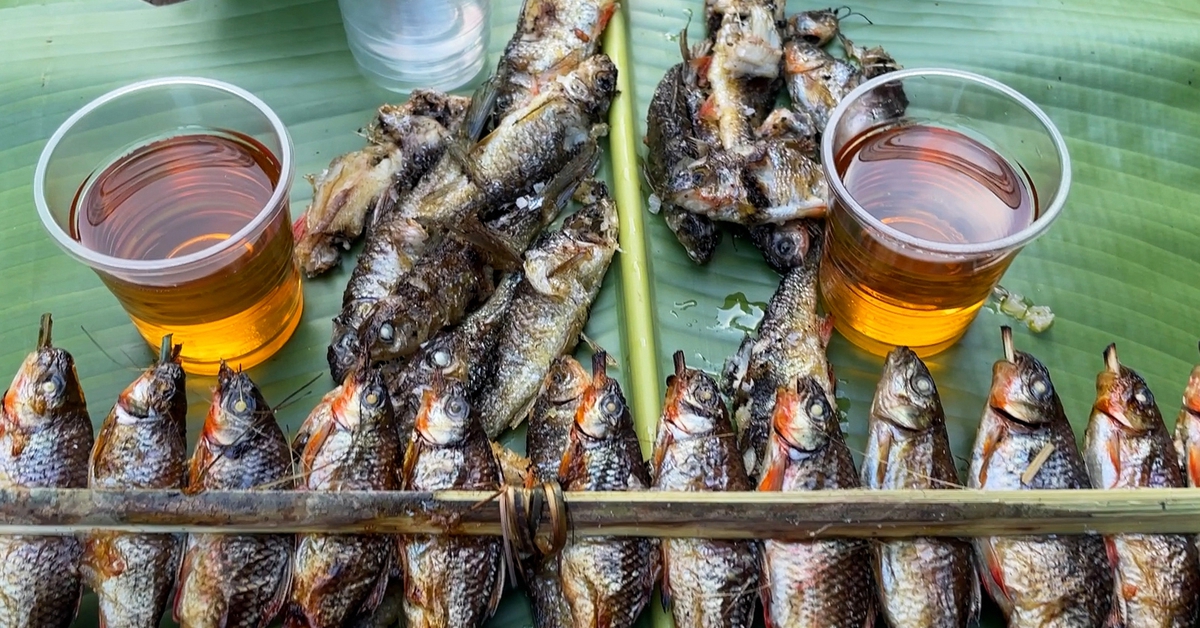 Về đại ngàn Trường Sơn ăn con cá mát