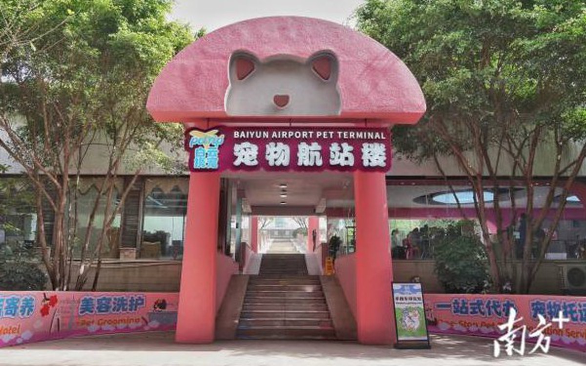 Trung Quốc có ga hàng không đầu tiên cho thú cưng