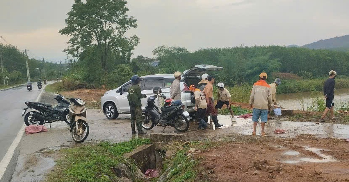 Sét đánh trúng chòi rẫy của nhóm người đi nhổ mì, 1 người chết