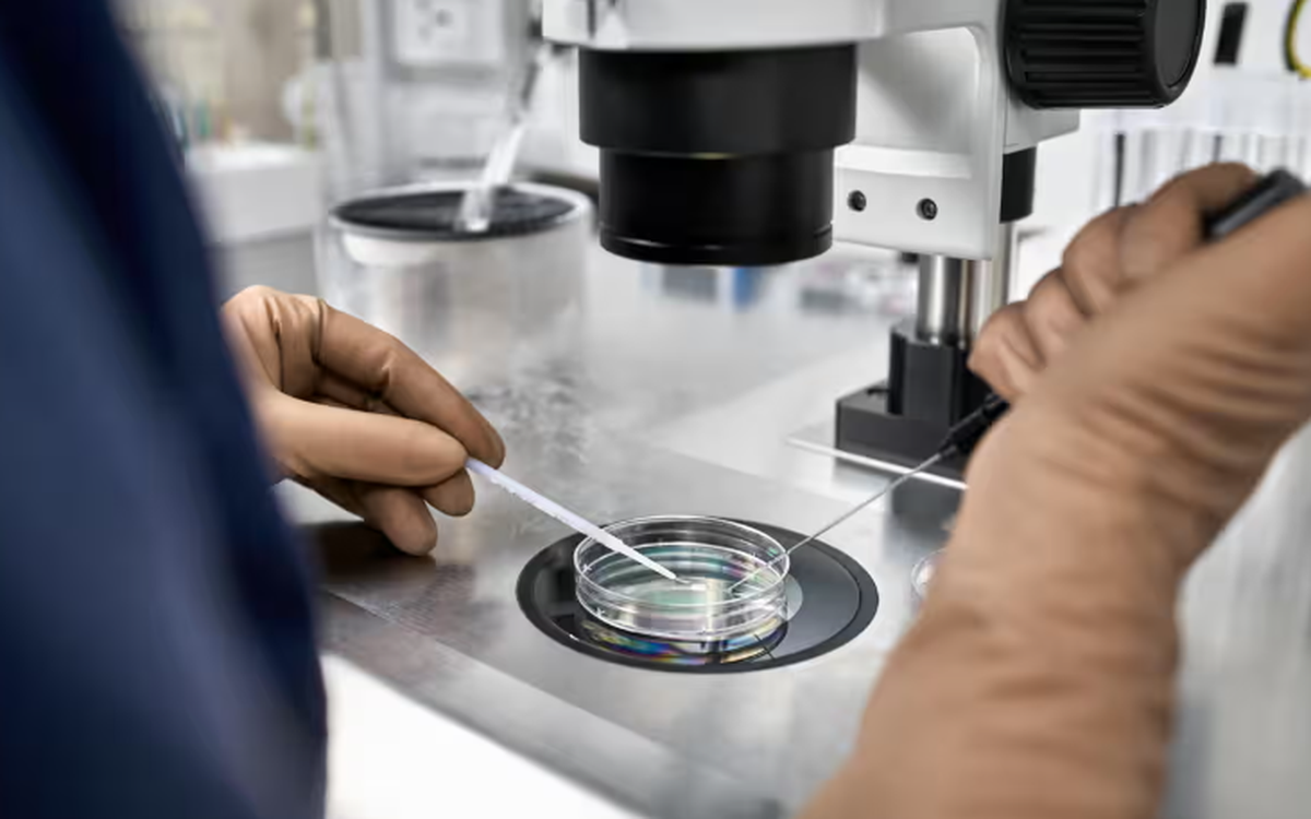 Hà Lan đối mặt nhiều vụ hôn nhân cận huyết do các phòng khám vi phạm quy định hiến tinh trùng