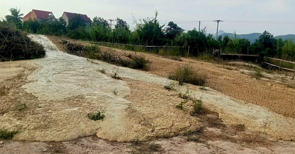 Vụ bùn phun trào ở Phú Yên: Tốc độ chậm lại, mẫu bùn được phân tích chuyên sâu