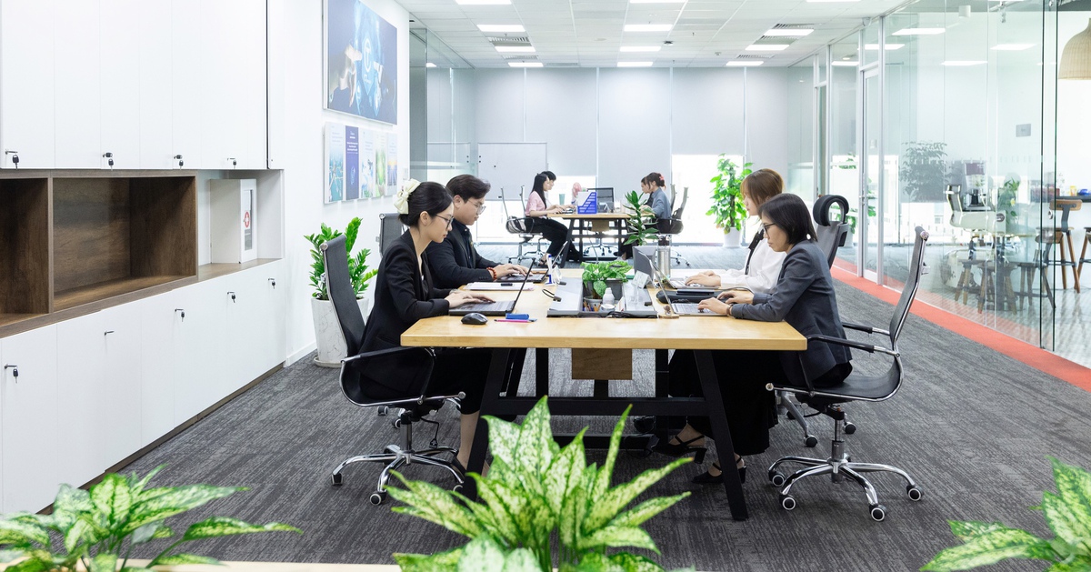 CT Group: Lương 20 triệu đồng/tháng cho sinh viên mới ra trường