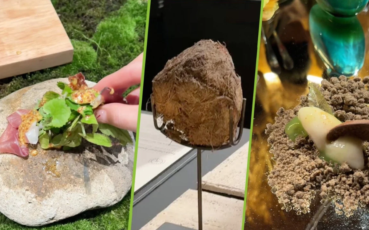 Nhà hàng Trung Quốc gây sốc với món tráng miệng làm từ... phân voi