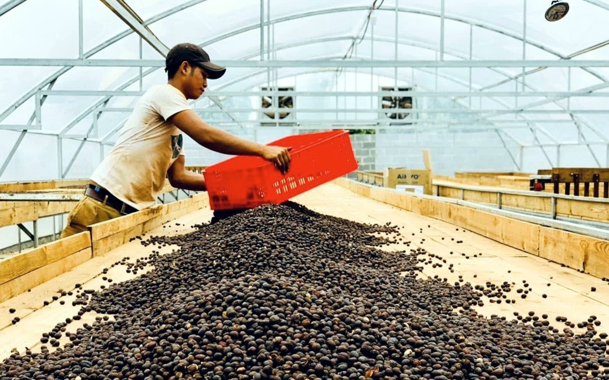 Đưa Việt Nam vào thị trường Halal toàn cầu trị giá hàng nghìn tỉ đô