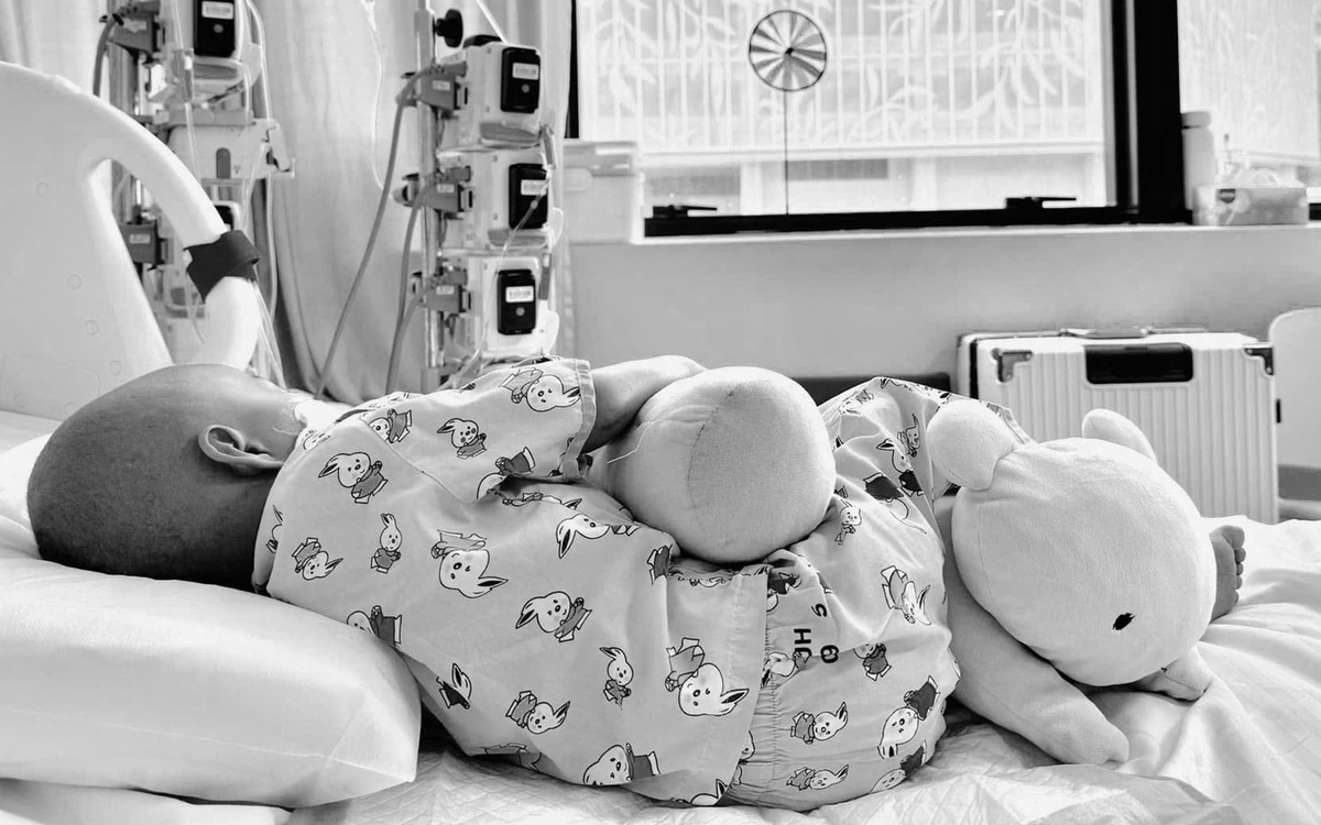 'Bé Bắp' đã ra đi trong vòng tay yêu thương