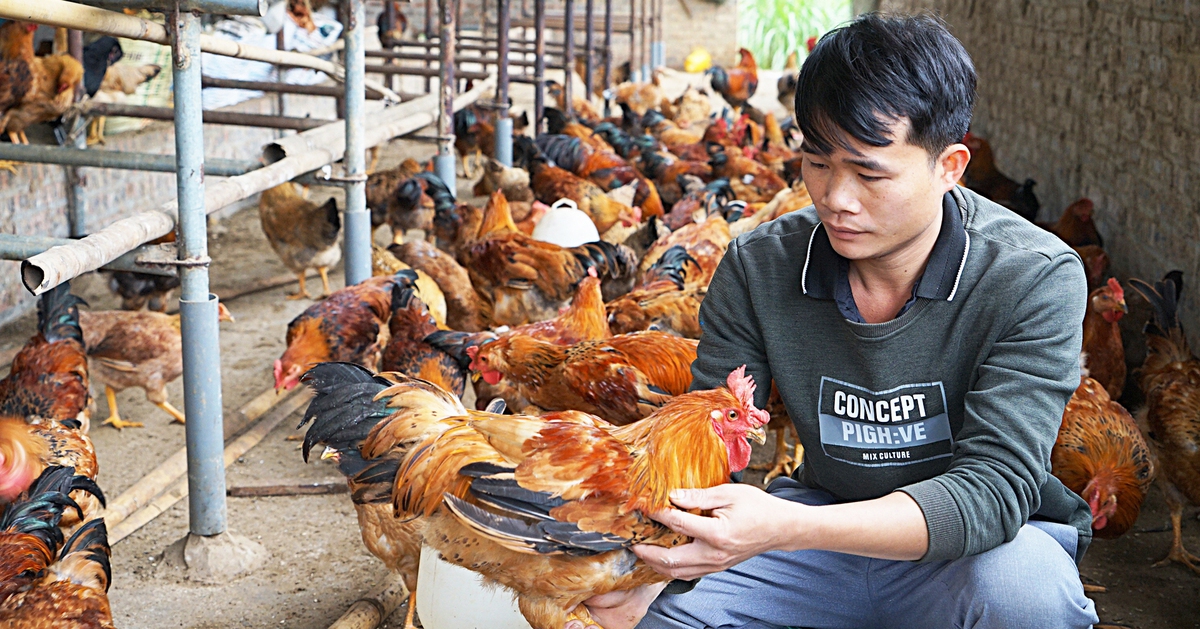 Thanh niên chung tay, gần 2.000 sản phẩm OCOP lên sàn thương mại điện tử