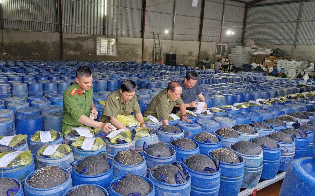 Lại phát hiện thực phẩm bẩn: Công an Nghệ An bắt 4 người sản xuất 3.500 tấn giá đỗ 'ngậm' hóa chất