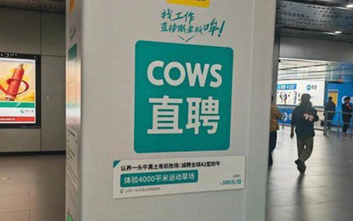 Quảng cáo sữa khiến dân công sở 'sôi máu'