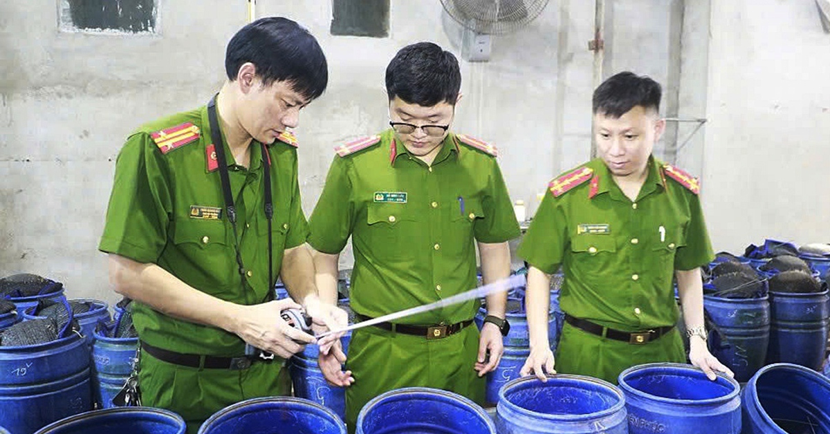 Bên trong xưởng sản xuất 3.500 tấn giá đỗ 'ngậm' hóa chất