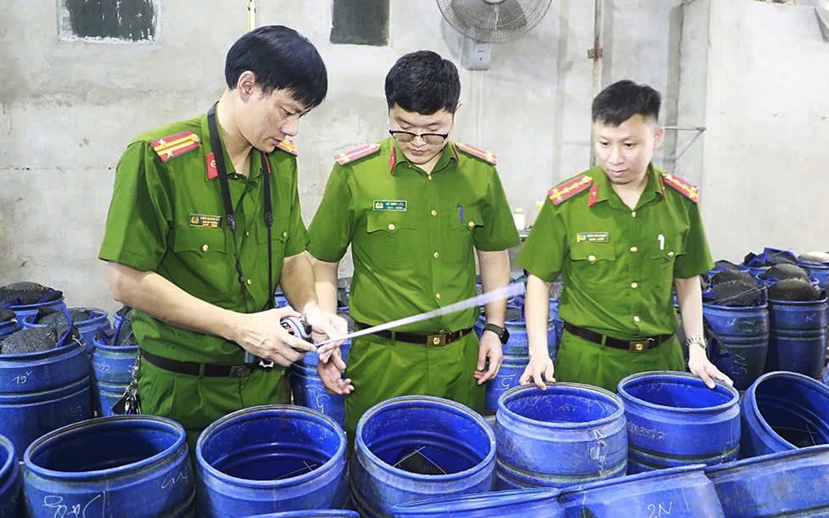 Bên trong xưởng sản xuất 3.500 tấn giá đỗ 'ngậm' hóa chất