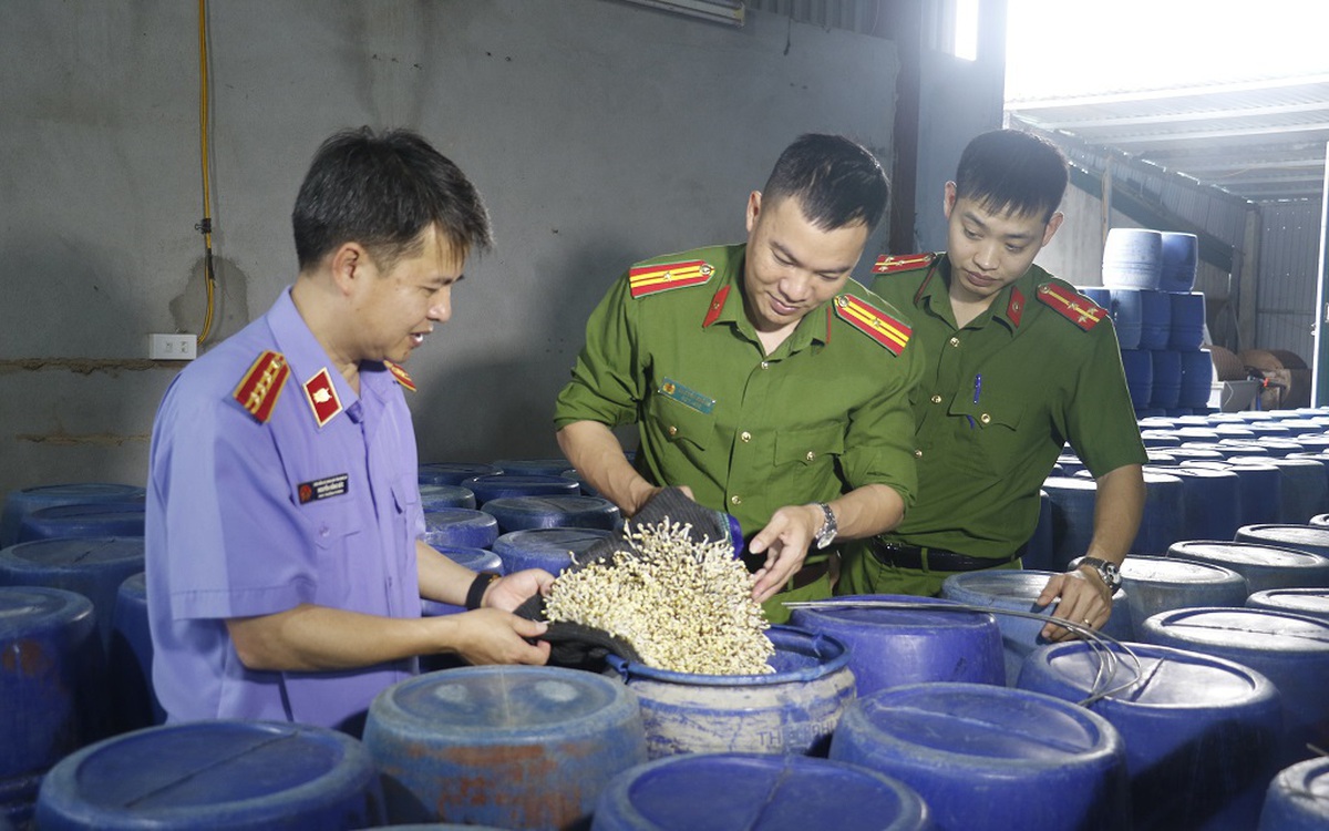3.500 tấn giá đỗ ngâm hóa chất đã tiêu thụ ở đâu?