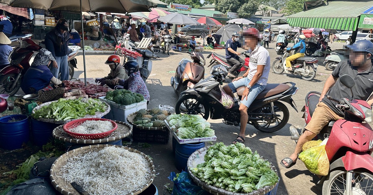 Bà nội trợ lo lắng sau vụ công an bắt 3.500 tấn giá đỗ ngâm hóa chất