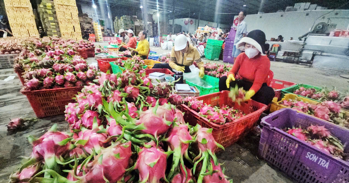 Tranh thủ Mỹ hoãn áp thuế, doanh nghiệp Việt đưa thêm giải pháp