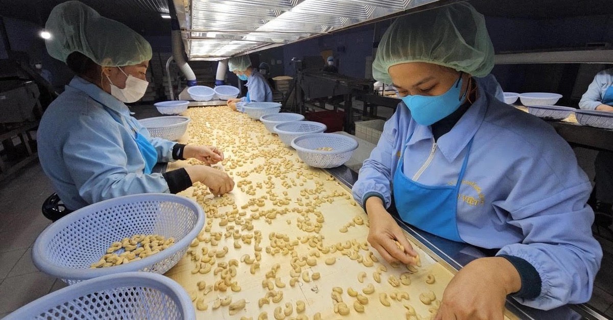Chi cục Hải quan khu vực 2: Hàng xuất sang Mỹ bị hủy gần 14 tỉ đồng trong nửa tháng 4