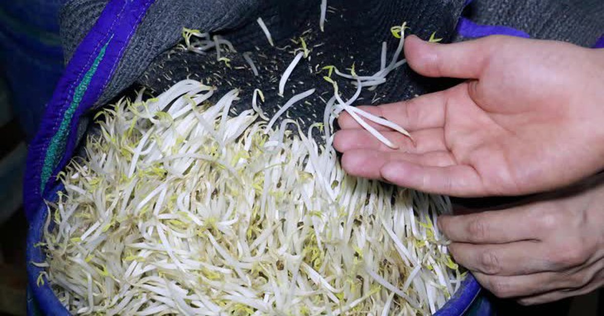 Sữa giả, giá độc và còn gì nữa?