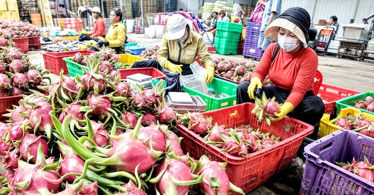 Tranh thủ Mỹ hoãn áp thuế, doanh nghiệp Việt đưa thêm giải pháp