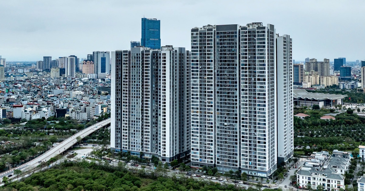 TP.HCM có hơn 8.700 căn hộ cho thuê thông qua ứng dụng Airbnb