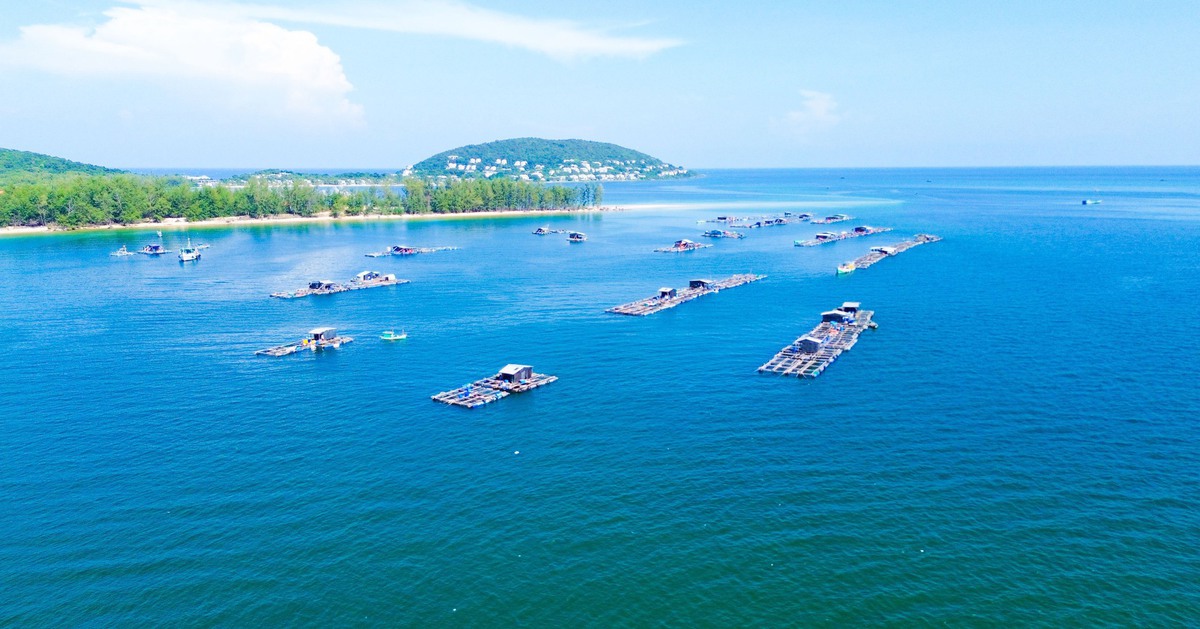 Kiên Giang tính nguồn nguyên vật liệu để làm dự án đón APEC 2027