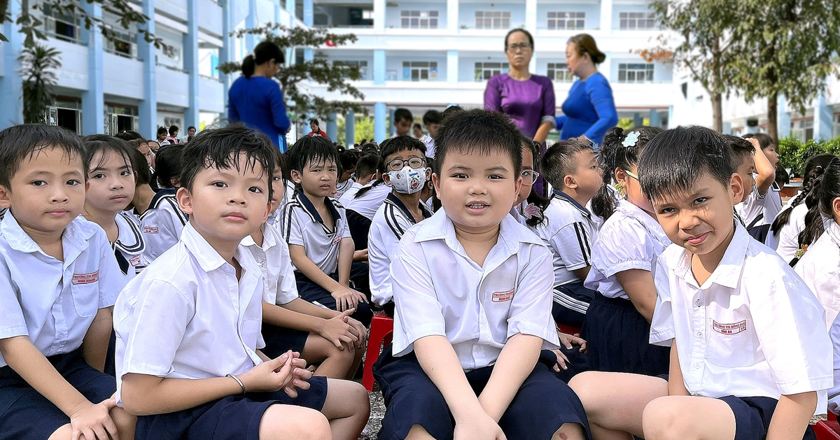 Các trường tiểu học, THCS ở quận 8 tuyển sinh lớp 1, lớp 6 thế nào?