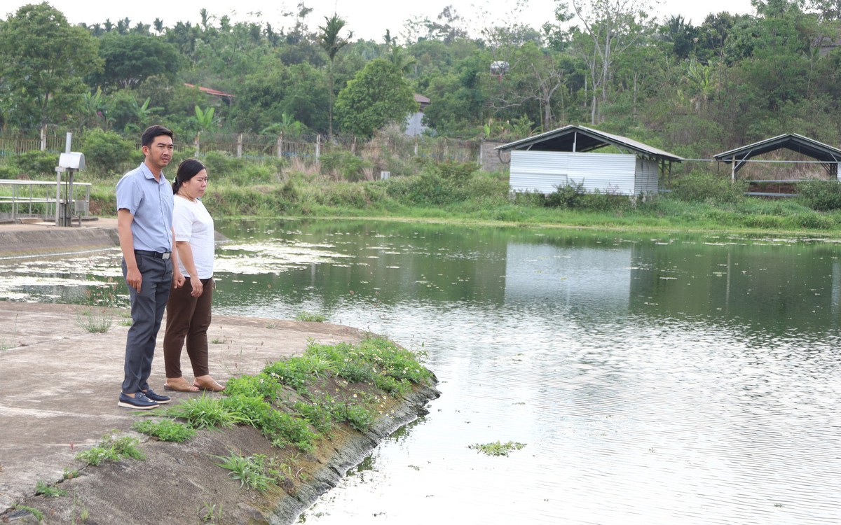 Nguồn dồi dào nhưng cấp nước sinh hoạt nhỏ giọt dù giá tăng mạnh