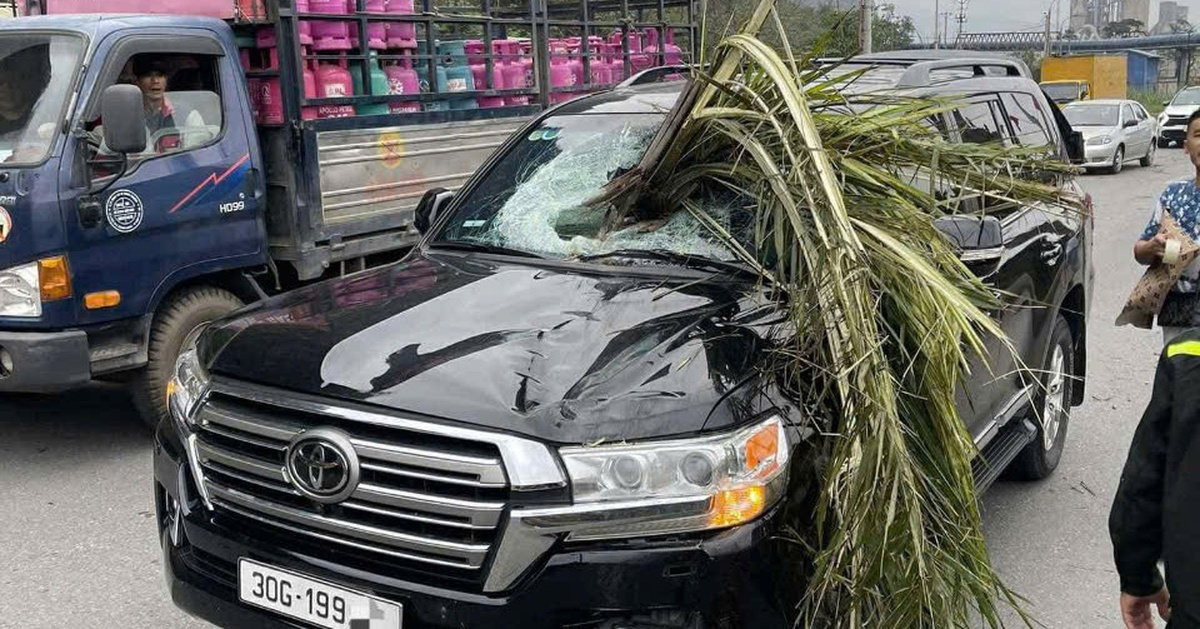 Xế hộp bị cây cọ đâm thủng kính chắn gió phía trước sau tai nạn giao thông
