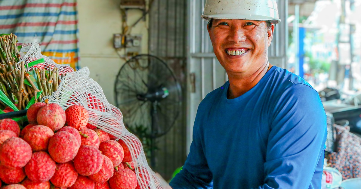 Vải thiều Bắc Giang có tỉ lệ đậu quả 'khủng', sản lượng ước trên 165.000 tấn