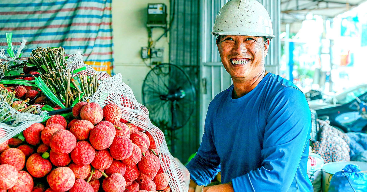 Vải thiều Bắc Giang có tỉ lệ đậu quả 'khủng', sản lượng ước trên 165.000 tấn