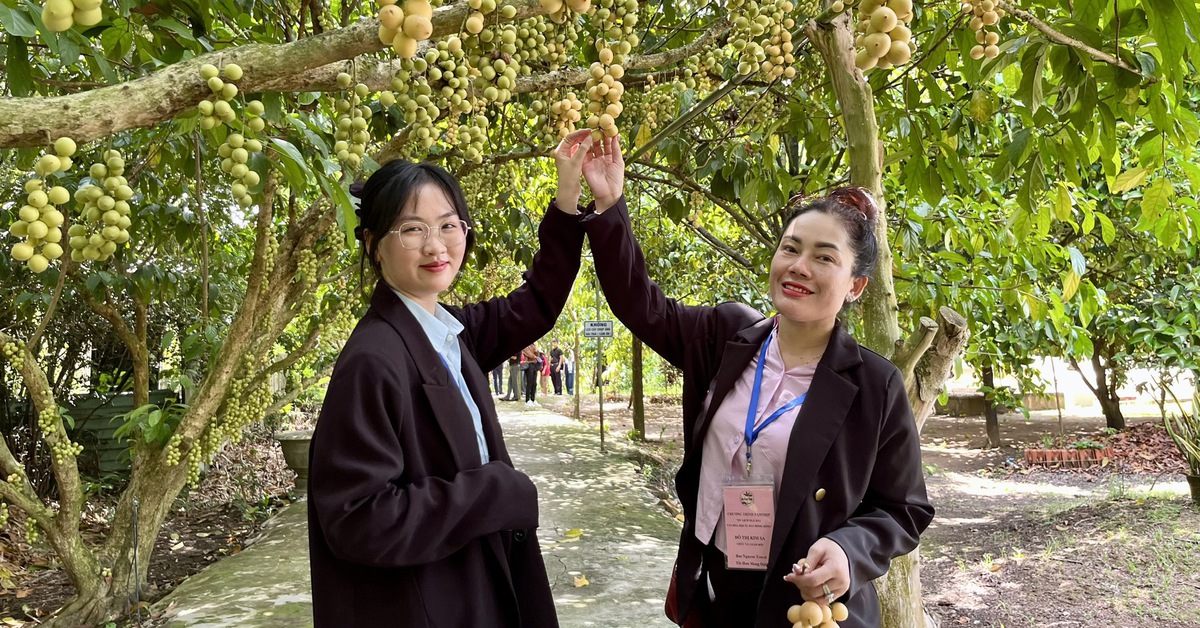 Ngồi ghe du lịch, thưởng thức món dân dã ở đô thị sông nước