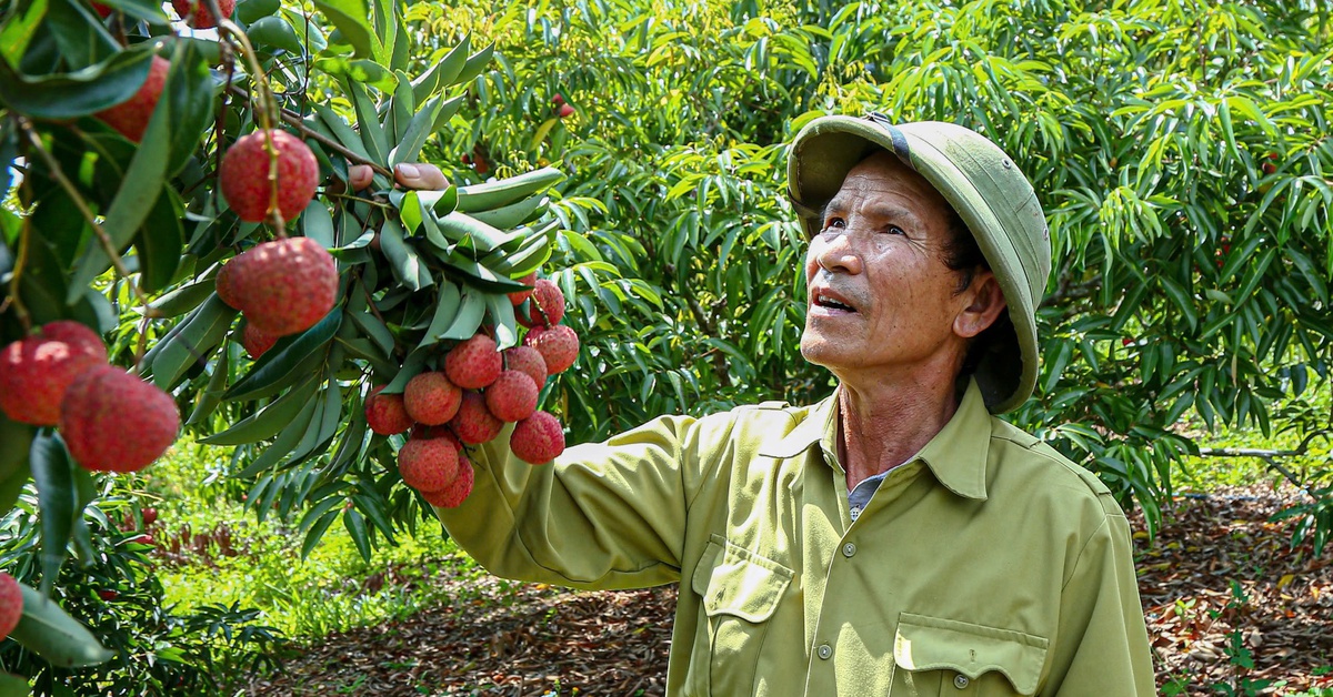Kiều bào đóng vai trò quan trọng trong việc đưa hàng Việt Nam ra nước ngoài