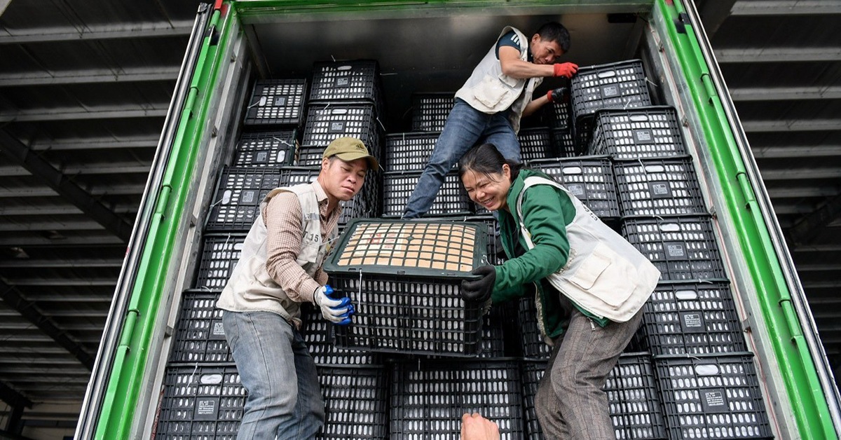 Lạng Sơn bác tin ùn tắc nông sản xuất khẩu tại cửa khẩu
