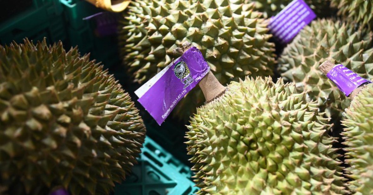 Trung Quốc tăng thời gian kiểm tra sầu riêng Thái Lan do sợ bị nhiễm thuốc