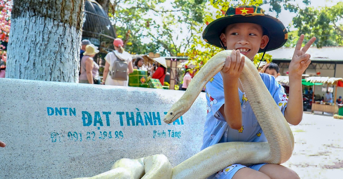 Trại rắn Đồng Tâm trở thành điểm du lịch tiềm năng 5 sao