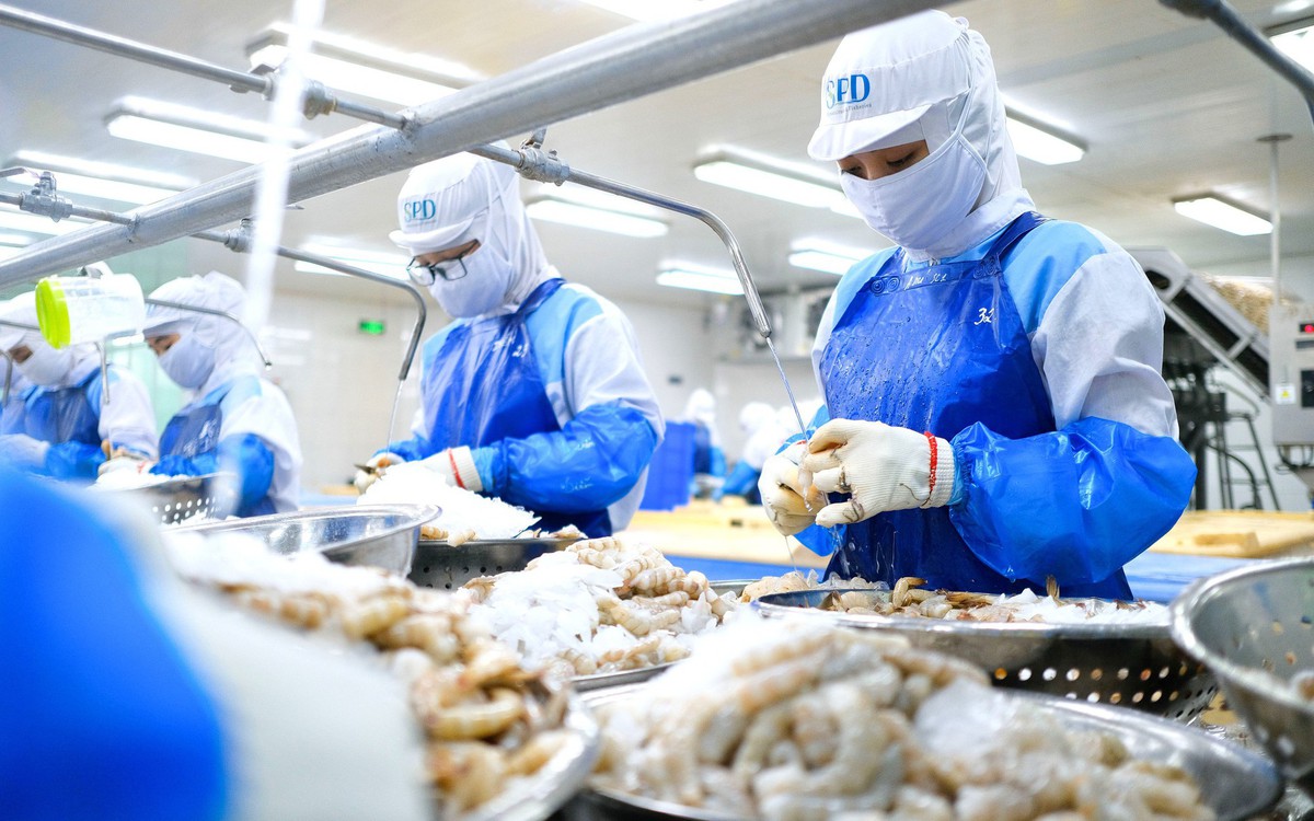 Doanh nghiệp thủy sản tìm cách ứng phó với thuế đối ứng của Mỹ