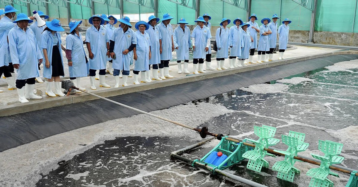 Thu hút người tài ngành nông nghiệp và môi trường: đãi ngộ gắn với cổ phần, doanh thu dự án?